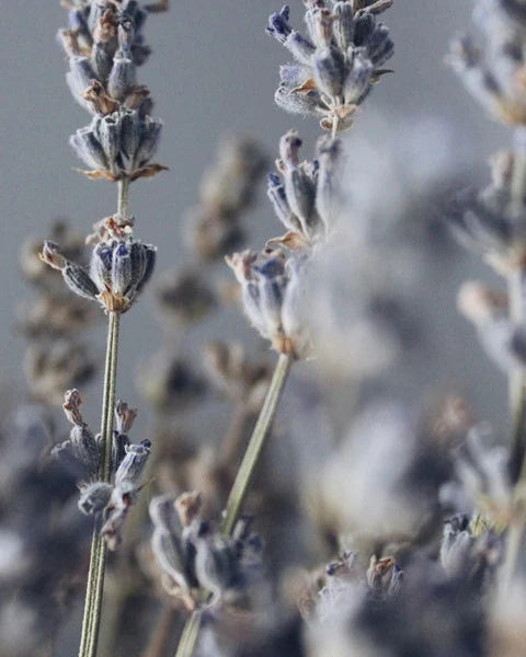 Magnesium Lavender Bath Salt